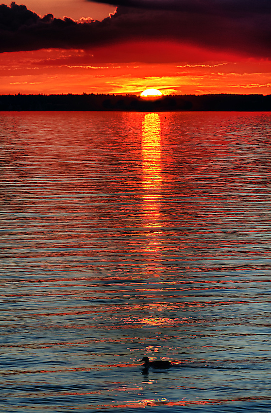 Chiemsee-Glut