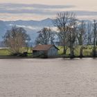 Chiemsee II