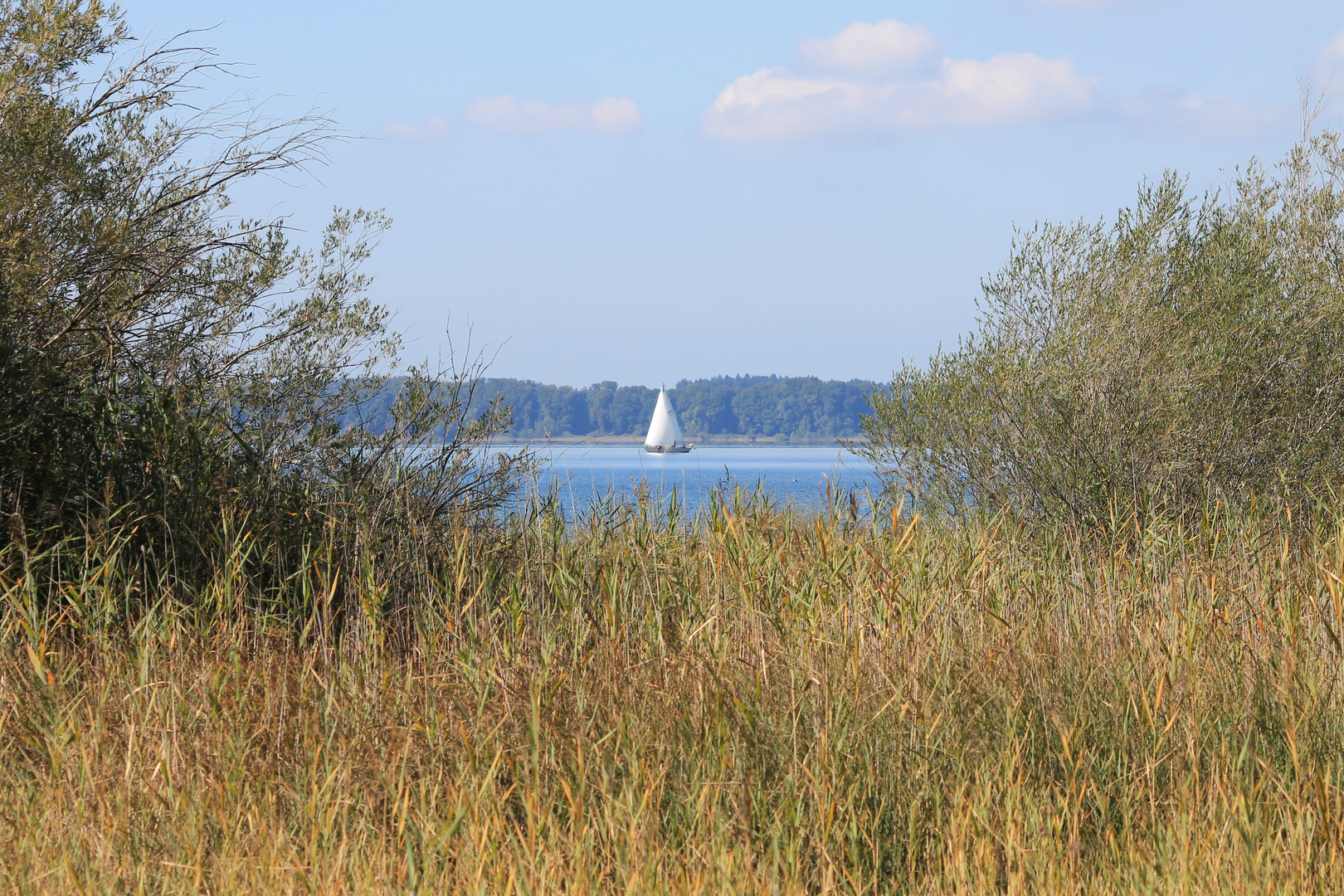 Chiemsee II