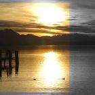 Chiemsee III - Gold und Silber