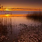 Chiemsee im Licht