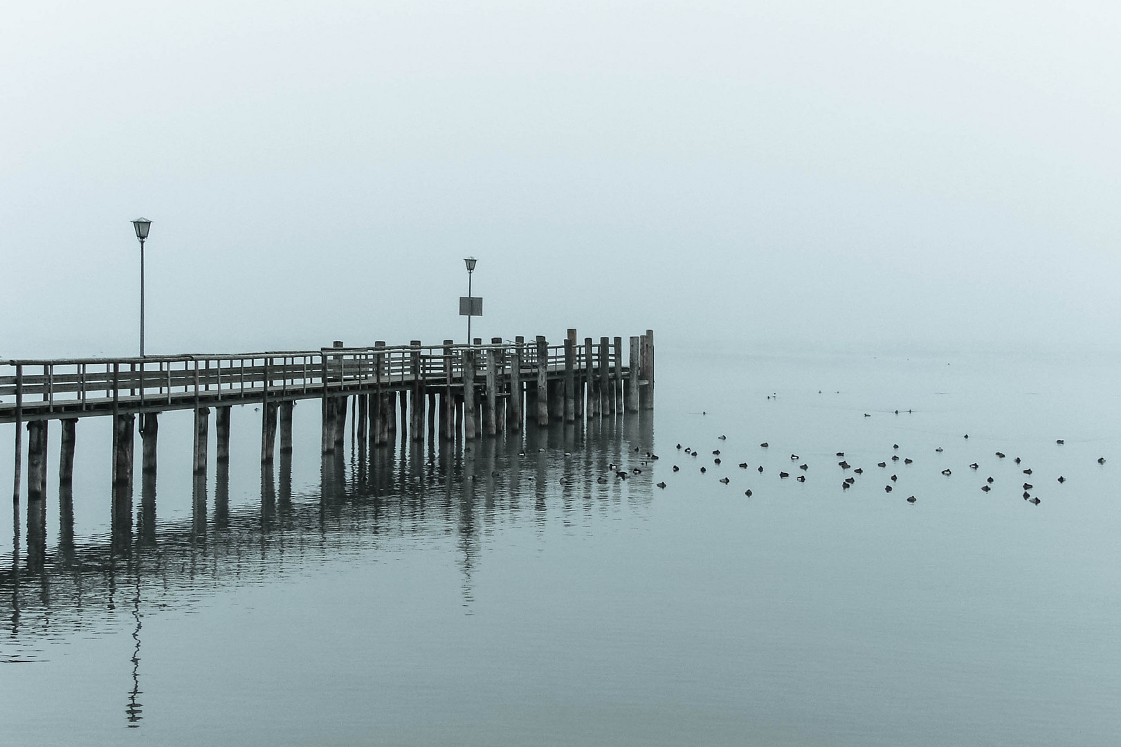 Chiemsee im Nebel