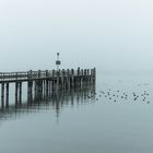 Chiemsee im Nebel