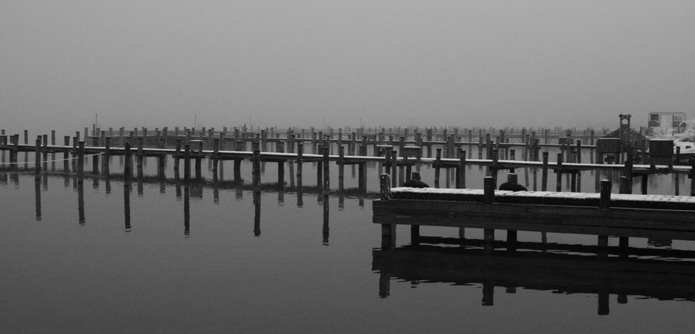 Chiemsee im Nebel