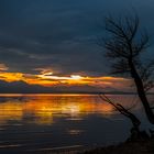 Chiemsee im November