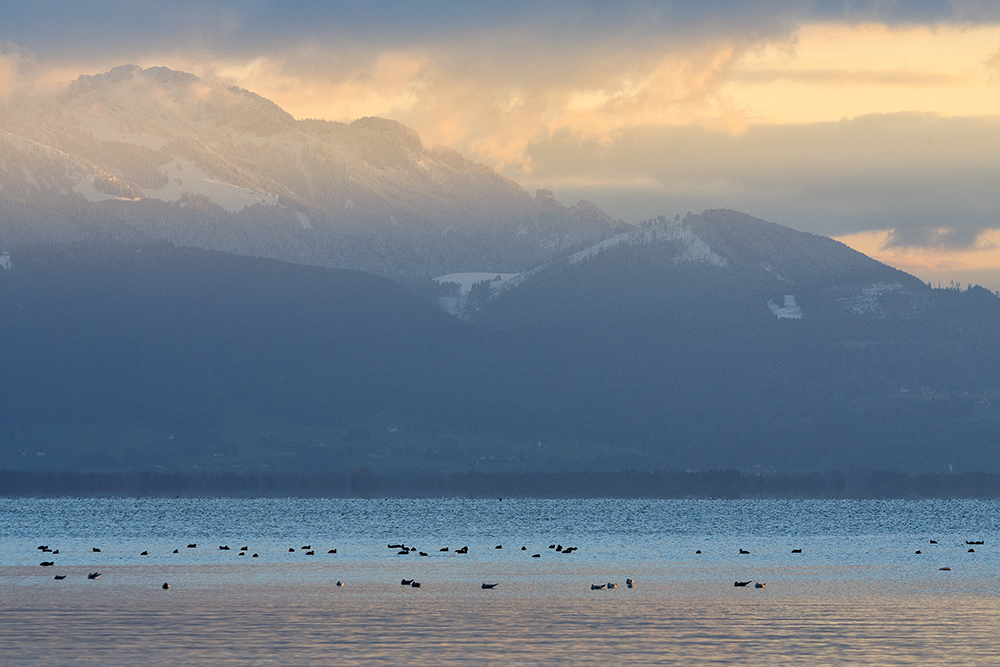 Chiemsee im Oktoberdunst