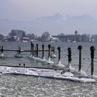 Chiemsee  im Winter 