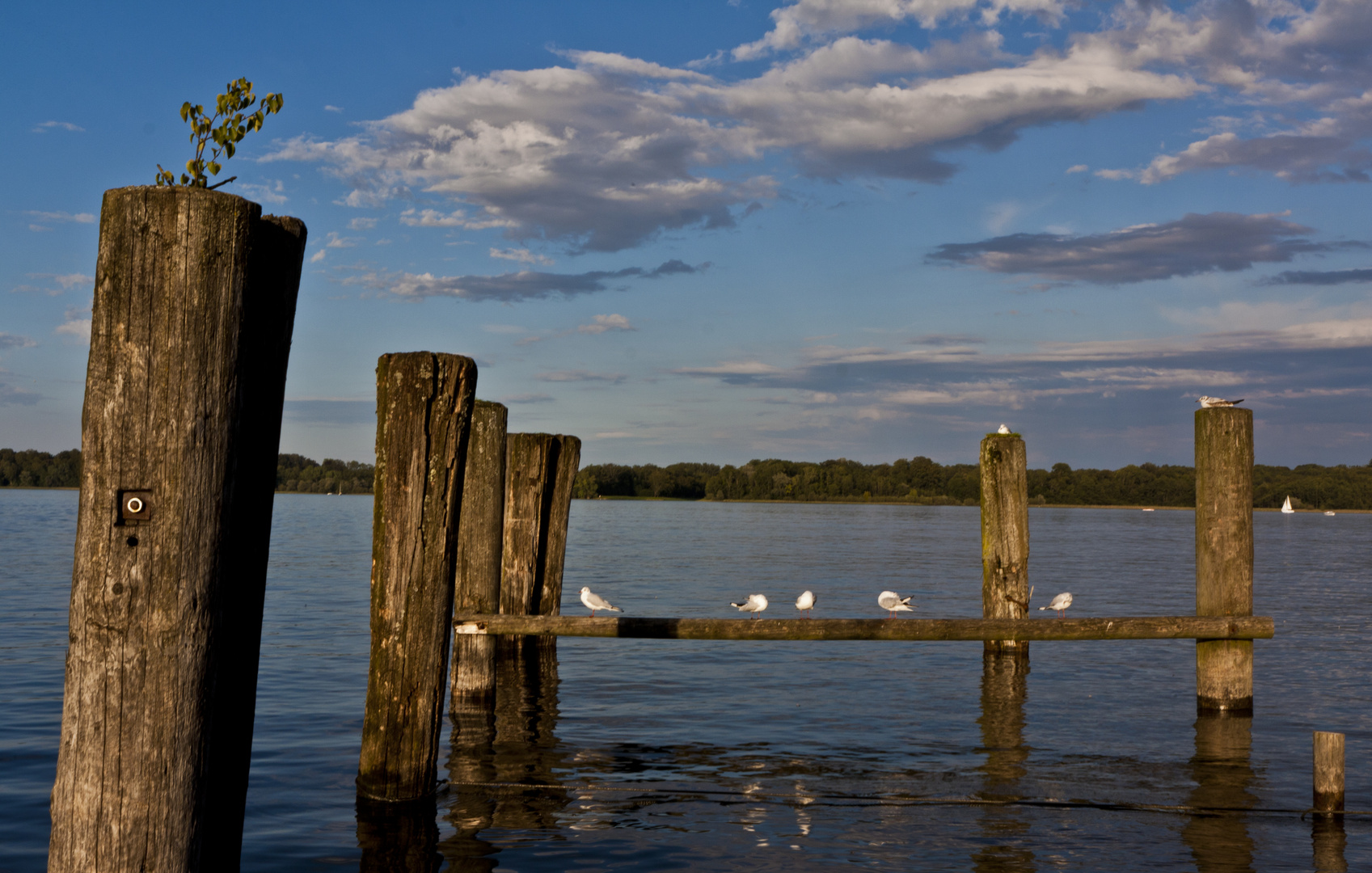 Chiemsee Impressions #02