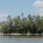 Chiemsee in Bayern