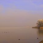 Chiemsee in den Morgenstunden