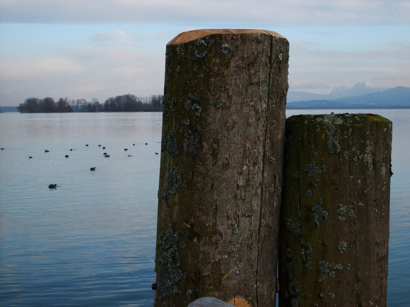 Chiemsee Januar 2010