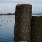 Chiemsee Januar 2010