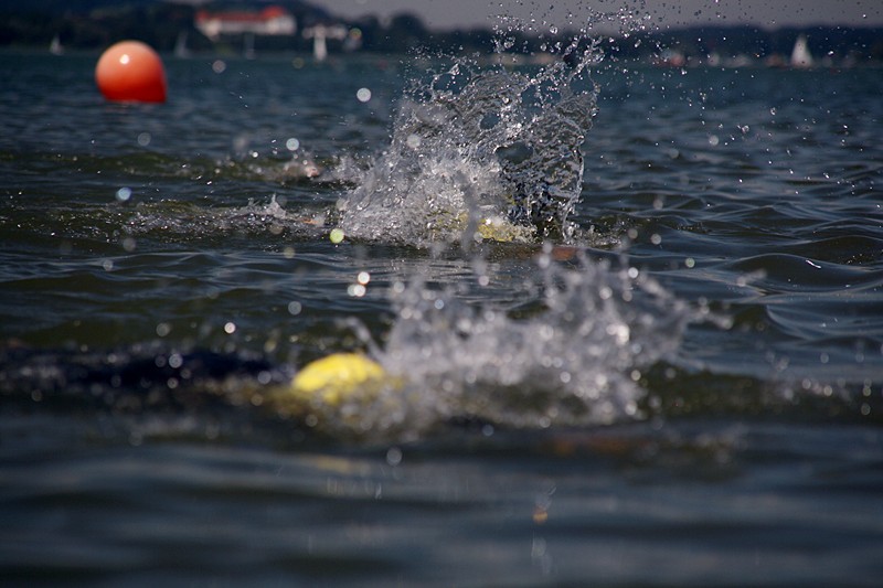 Chiemsee-Langstreckenschwimmen, Chiemgau