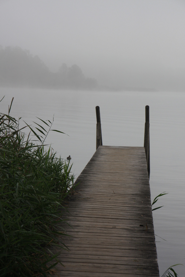 Chiemsee mit Morgennebel