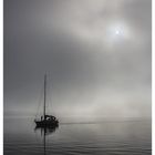 Chiemsee Nebel Morgenstimmung
