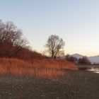 Chiemsee-Ostufer im Abendlicht