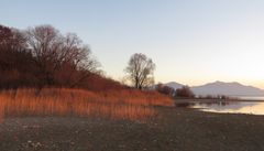 Chiemsee-Ostufer im Abendlicht