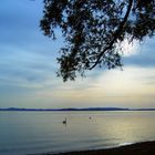 Chiemsee-Sommer