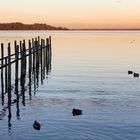 Chiemsee Sunset