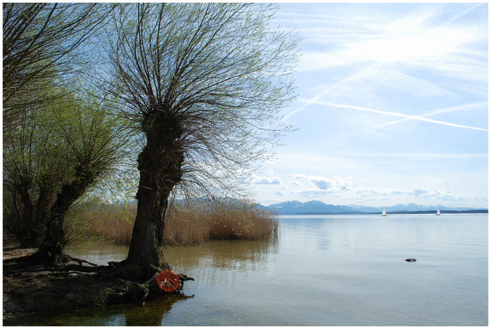 Chiemsee-Ufer