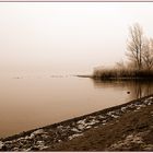 Chiemsee vor der Eiskälte