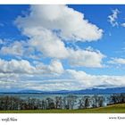 Chiemsee-weiß/blau