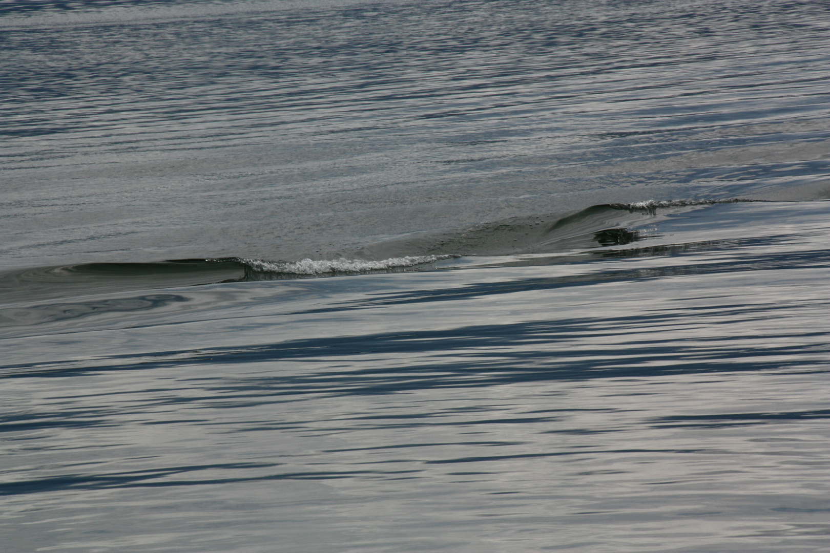 CHiEMSEE  WELLE °i°