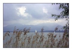 Chiemsee1