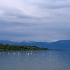 Chiemsee2