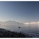 Chiemsee_Morgenstimmung