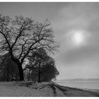 Chiemsee_Nebelstimmung_2