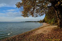 Chiemseeufer im Herbst