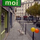 Chien à Paris