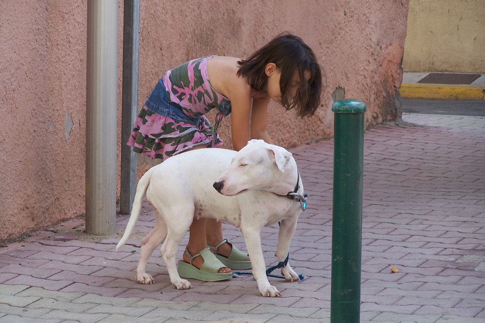 chien et fille