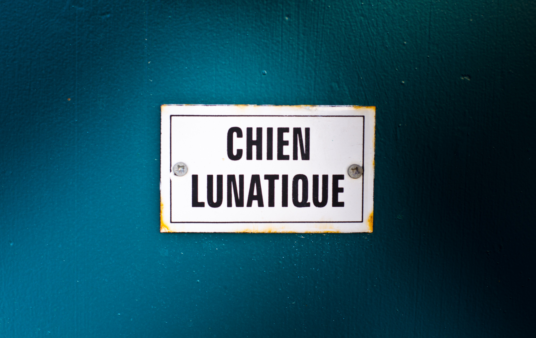 Chien lunatique