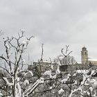 Chiesa di Monrupino d'inverno