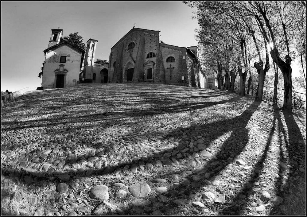 Chiesa di San Francesco - Cassine