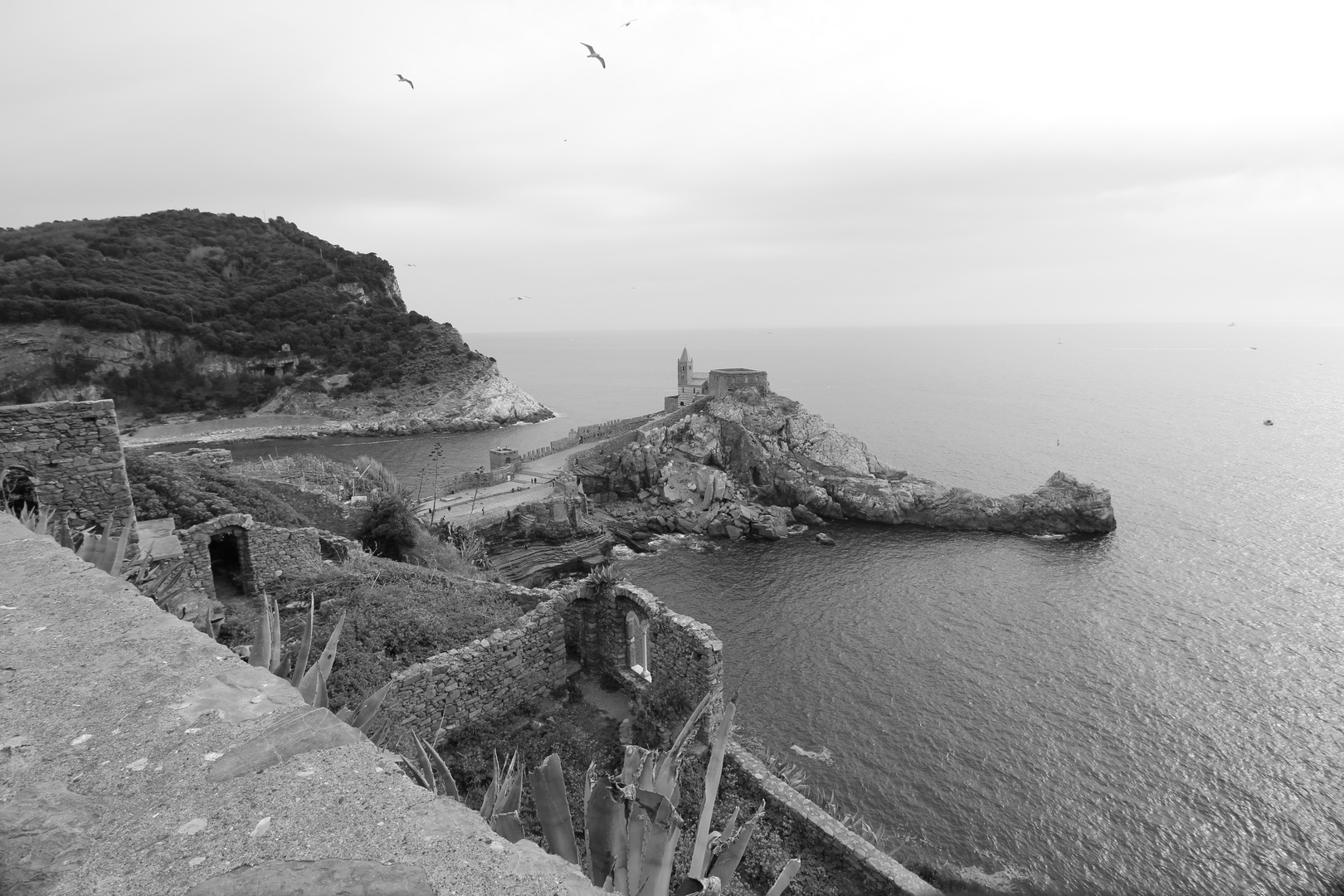 Chiesa di San Pietro       Portovenere