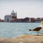 Chiesa Le Zitelle - Venedig