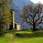 Chiesa Santa Veronica in Castelveccana