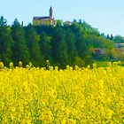 CHIESA SUL MARE GIALLO 81871)