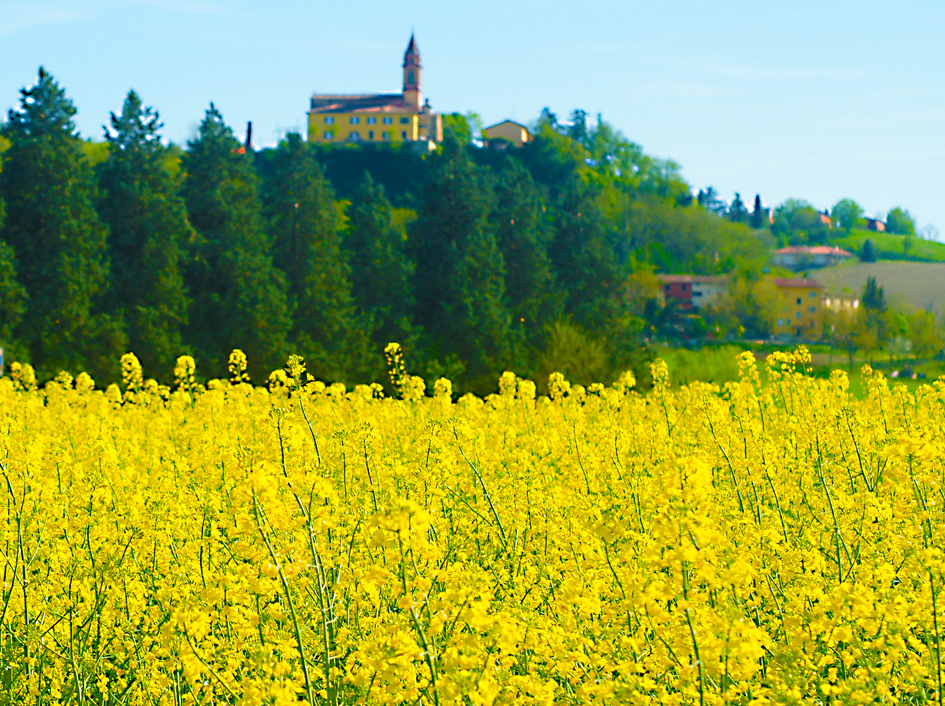 CHIESA SUL MARE GIALLO 81871)