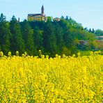 CHIESA SUL MARE GIALLO 81871)