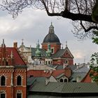 Chiese e campanili di Cracovia