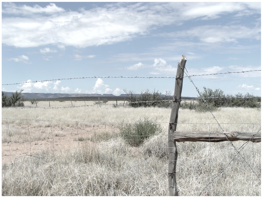 Chihuahua Desert