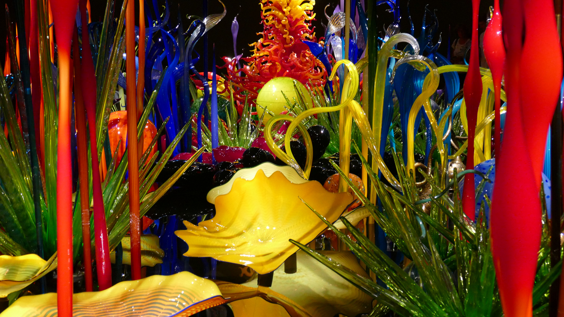 Chihuliy's Wunderwelt