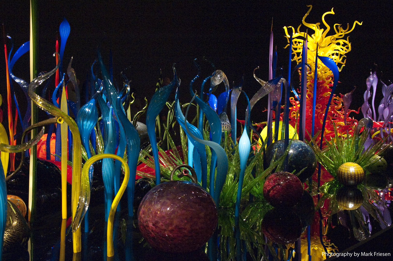 Chihuly Art Exhibit