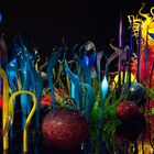 Chihuly Art Exhibit
