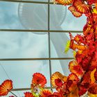 Chihuly Garden and Glass & Space Needle