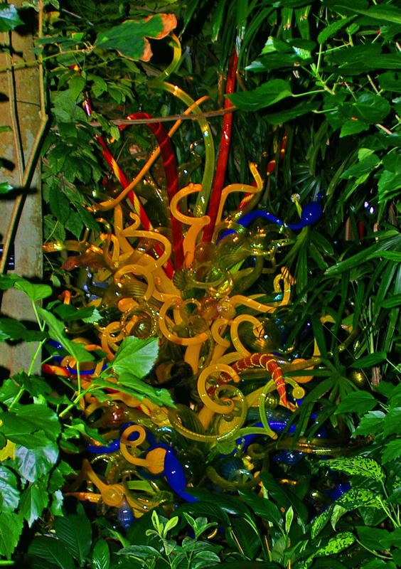 Chihuly nights